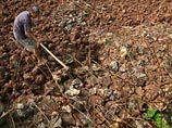 Сильнейшая за последние 100 лет метеорологических наблюдений засуха поразила густонаселенные районы Юго-Западного Китая, сообщает ИТАР-ТАСС со ссылкой на Shanghai Daily Сильнейшая за последние 100 лет метеорологических наблюдений засуха поразила густонаселенные районы Юго-Западного Китая, сообщает ИТАР-ТАСС со ссылкой на Shanghai Daily