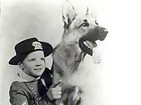 5 сентября считается днем рождения одной из самых знаменитых собак мира - немецкой овчарки Рин Тин Тина. Во время первой мировой войны на поле боя сержант американской армии Ли Дункан подобрал раненого щенка. Некоторое время пес служил связной собакой
