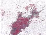 В Папуа-Новой Гвинее убит католический монах В Папуа-Новой Гвинее убит католический монах