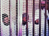 В Египте к смертной казни приговорены террористы, устроившие взрывы на курортах Синайского полуострова В Египте к смертной казни приговорены террористы, устроившие взрывы на курортах Синайского полуострова