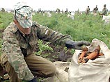Правозащитники подготовили доклад о незаконном использовании труда призывников Правозащитники подготовили доклад о незаконном использовании труда призывников