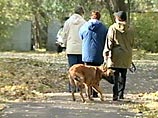 Россияне любят собак, но недолюбливают их владельцев