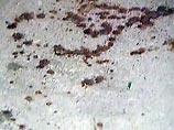 Дело возбуждено по статье 213 часть 2 (хулиганство, совершенное группой лиц по предварительному сговору с применением оружия или предметов, используемых в качестве него) УК РФ Дело возбуждено по статье 213 часть 2 (хулиганство, совершенное группой лиц по предварительному сговору с применением оружия или предметов, используемых в качестве него) УК РФ