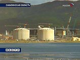 Массовый выброс морских животных на Сахалине может быть связан не с экологией, а со штормом Массовый выброс морских животных на Сахалине может быть связан не с экологией, а со штормом
