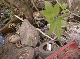 Через 5-8 лет все российские мегаполисы захлебнутся в собственном мусоре, утверждают экологи Через 5-8 лет все российские мегаполисы захлебнутся в собственном мусоре, утверждают экологи