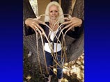 65-летняя жительница Солт-Лейк-Сити Ли Редмонд вошла в последний выпуск Книги рекордов Гиннеса, отрастив самые длинные ногти в мире - их общая длина составляет 7 метров 51 сантиметр