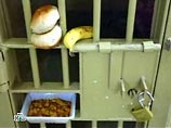 Заключенные тюрьмы на базе ВМФ США в заливе Гуантанамо (Куба), посаженные на "высококалорийную диету", начали заметно толстеть