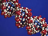 В США объявлен конкурс на доступный способ расшифровки генома человека В США объявлен конкурс на доступный способ расшифровки генома человека