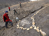 На Северном полюсе найдены останки морского "монстра", жившего 150 миллионов лет назад 