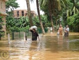 Вайшнавы Маяпура несмотря на стихийное бедствие готовят и раздают горячие обеды 2000 жителям Гауранагара и Таранпура