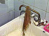 В России подорожает вода В России подорожает вода