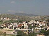 Кипрская мышь (Mus cypriacus) - совершенно новая разновидность млекопитающих, отличительными особенностями которой являются более крупные, чем у известных ранее видов мышей, голова, уши и глаза Кипрская мышь (Mus cypriacus) - совершенно новая разновидность млекопитающих, отличительными особенностями которой являются более крупные, чем у известных ранее видов мышей, голова, уши и глаза
