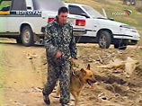 В Волгоградской области грибники обнаружили трупы двух девушек
В Волгоградской области грибники обнаружили трупы двух девушек