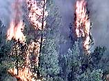 Обширнейшие пожары продолжают уничтожать леса в западной части США