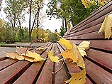 В Москве ожидается не более пяти градусов тепла В Москве ожидается не более пяти градусов тепла