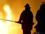 В США собака спасла хозяйку во время пожара, но погибла, пытаясь спасти кошку В США собака спасла хозяйку во время пожара, но погибла, пытаясь спасти кошку