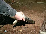 В поселке Обозерский Архангельской области
обнаружены три источника радиации В поселке Обозерский Архангельской области
обнаружены три источника радиации
