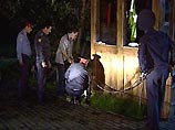 В столичном лесопарке найдено тело четырехлетнего ребенка В столичном лесопарке найдено тело четырехлетнего ребенка