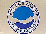 Специалисты Росгидромета обвиняют правительство Москвы в том, что ничего не делается для предотвращения критической ситуации с загрязнением Москвы-реки и настаивают на оценке качества воды столичной водной артерии по наиболее жестким нормативам