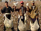 Президент Туркмении уволил и сослал 2 наместников на хлопковые плантации