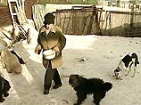 В Капотне откроют самый большой в Москве приемник для бездомных собак