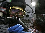 Шведская полиция нашла револьвер, из которого мог быть застрелен Улоф Пальме Шведская полиция нашла револьвер, из которого мог быть застрелен Улоф Пальме