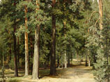 Представленная в этом году картина Ивана Шишкина "Освещенный солнцем лесной пейзаж с идущей женщиной" была продана в среду за 5,6 млн крон