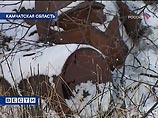 По данным пресс-службы ведомства, вещество находится в металлических бочках общим весом 5 тонн, многие из емкостей повреждены ржавчиной. По предварительным данным, захоронение было сделано в 70-ых годах По данным пресс-службы ведомства, вещество находится в металлических бочках общим весом 5 тонн, многие из емкостей повреждены ржавчиной. По предварительным данным, захоронение было сделано в 70-ых годах