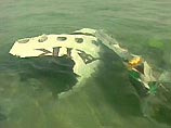 В Бахрейне началось официальное расследование причин катастрофы авиалайнера А-320