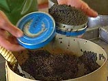 КП: в Новый год нам и нашим детям подсовывают порченые продукты КП: в Новый год нам и нашим детям подсовывают порченые продукты