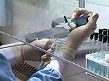 Лидер СПС Никита Белых считает, что Гайдар был отравлен Лидер СПС Никита Белых считает, что Гайдар был отравлен