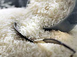 Россия запретила импорт риса, опасаясь ввоза трансгенной продукции