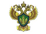 Митволь подчеркнул, что документы о его назначении специальным представителем Росприроднадзора в комиссии были получены Роснедрами 5 декабря