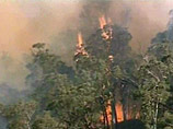 Юго-восток Австралии окутан дымом из-за самых сильных за 70 лет степных пожаров