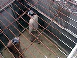 Совет Европы настаивает на окончательной отмене смертной казни в России
Совет Европы настаивает на окончательной отмене смертной казни в России