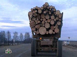 В последние годы значительные масштабы приобрела незаконная заготовка древесиной, и России наносится ущерб. Так, большие масштабы приобрели рубки лесов в Дальневосточном регионе, основная масса которого предназначена для КНР.