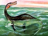 Останки плезиозавра, умершего около 70 миллионов лет назад, найдены в Антарктиде