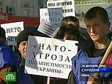 Народный референдум в Крыму: более 98% против членства в НАТО