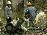 "Черные" лесорубы забили до смерти и сожгли офицера ФСБ в Читинской области