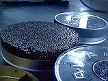Европа ужесточает борьбу с контрабандой черной икры Европа ужесточает борьбу с контрабандой черной икры