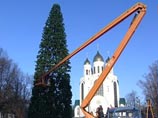 В Калининграде ветер уронил 20-метровую ель на центральной площади В Калининграде ветер уронил 20-метровую ель на центральной площади
