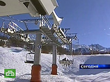 Во Французских Альпах, катаясь на лыжах, погибла 11-летняя девочка из России