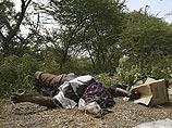 ВВС США нанесли удар по боевикам "Аль-Каиды" в Сомали: десятки жертв