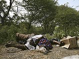 ВВС США нанесли удар по боевикам "Аль-Каиды" в Сомали: десятки жертв ВВС США нанесли удар по боевикам "Аль-Каиды" в Сомали: десятки жертв
