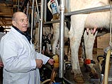 Первым местом, куда направился Ольмерт после прибытия в республику, стала израильско-китайская ферма по разведению коров, расположенная под Пекином, где он ознакомился с уровнем сотрудничества экспертов обеих стран в сфере сельского хозяйства