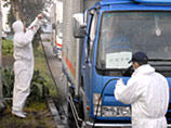 В Японии подтверждена вспышка самого опасного вируса "птичьего гриппа"