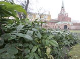 Москва, зима 2006-2007 года Москва, зима 2006-2007 года