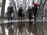 Кто выиграл, а кто проиграл от невероятно теплой зимы Кто выиграл, а кто проиграл от невероятно теплой зимы