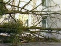 Роман Абрамович собирается купить знаменитый замок графа Дракулы Роман Абрамович собирается купить знаменитый замок графа Дракулы