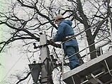 В Ростовской области из-за сильного ветра обесточены около десятка деревень В Ростовской области из-за сильного ветра обесточены около десятка деревень
